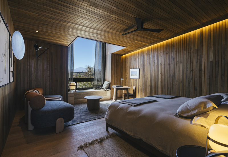 _OM_0969-Editar-Website News Carousel-800x550